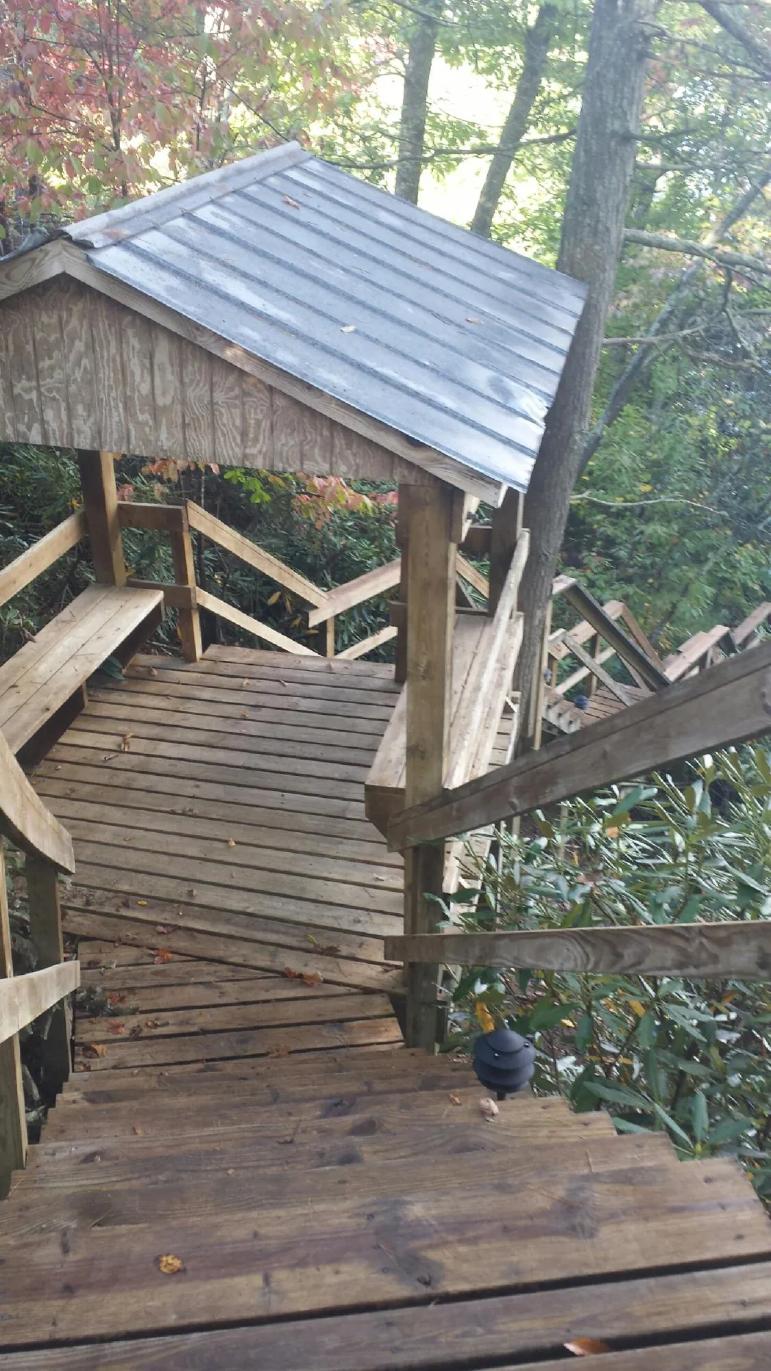 Metal roofed shelter over wooden steps on a wooded walkway — Skylight Repair & Installation work by our crew in Beechgrove
